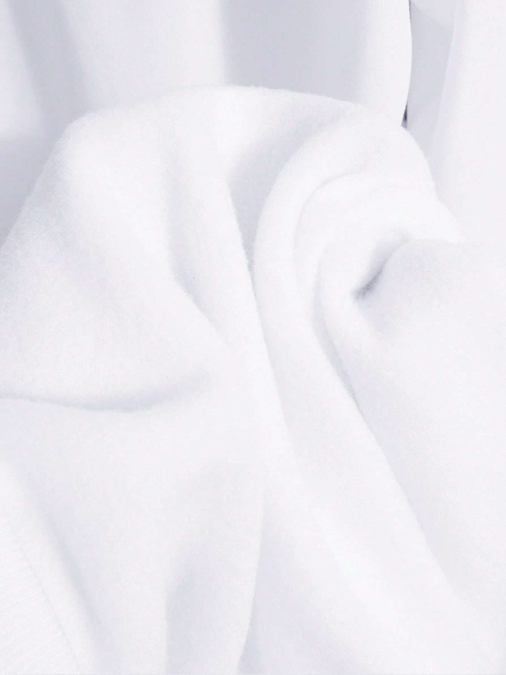 Manfinity Dauomo Men Letter Graphic Thermal Lined Sweatshirt , Fall Winter